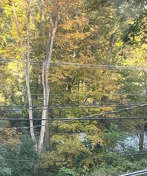 407 S Britain Rd — Photo 6
