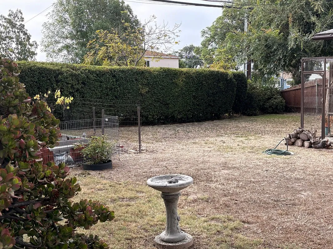 2 bed, 1.0 bath, 990 sqft, $2,850 — Photo 3