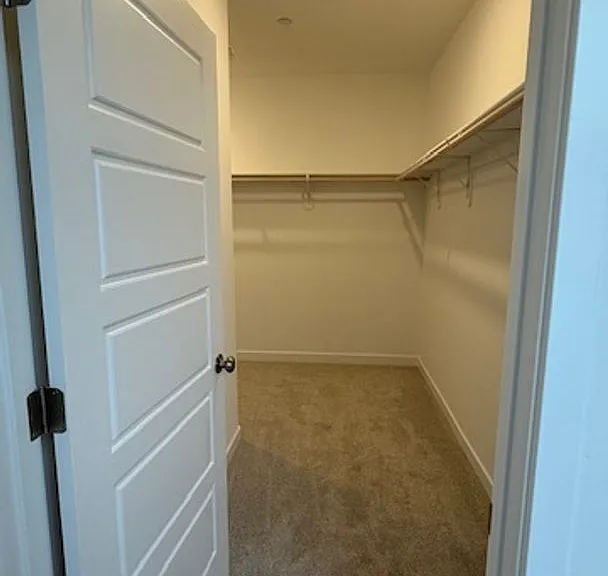 12505 Camino Glorieta — Photo 21