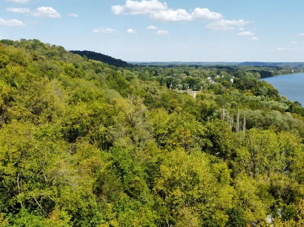 0 Fox Tail Ln, Patriot, IN 47038