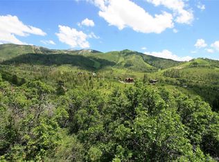 2737 Ridge Rd, Steamboat Springs, CO 80487