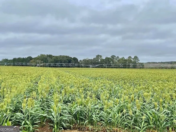 1538 Quail Run Rd, Sycamore, GA 31790