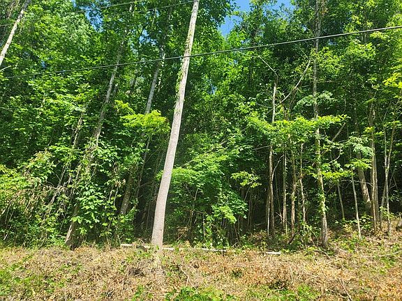 5th image of 3 Bear Hollow Way Lot 3