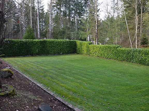 Manicured Landscaping