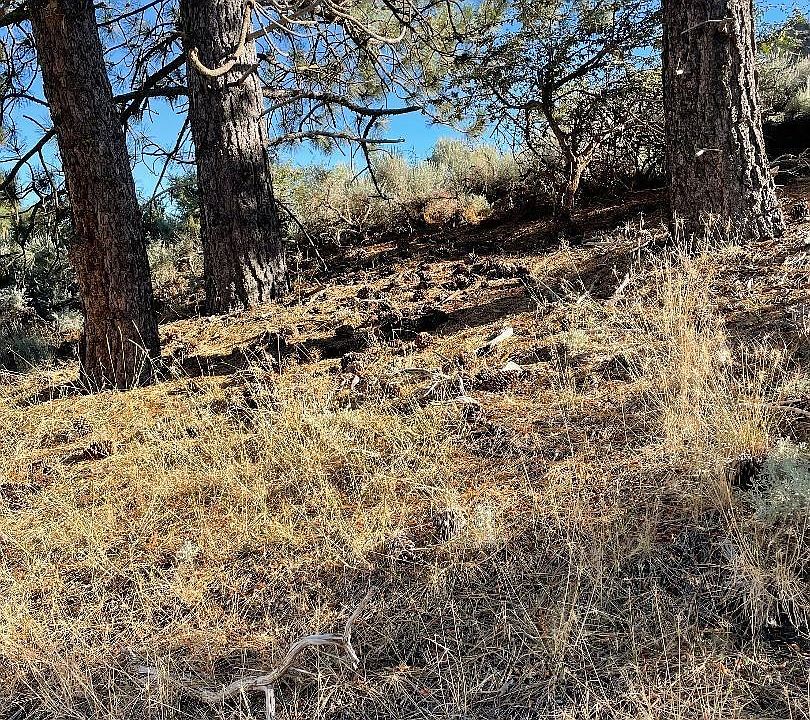 2nd image of 26710 Stirrup Way Parcel 2