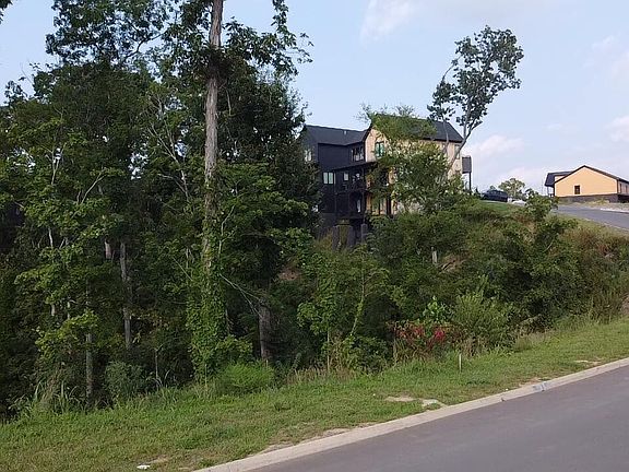 3rd image of 144 Reedmont Way Lot 144
