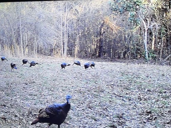 2nd image of 50 Oakdale Church Rd