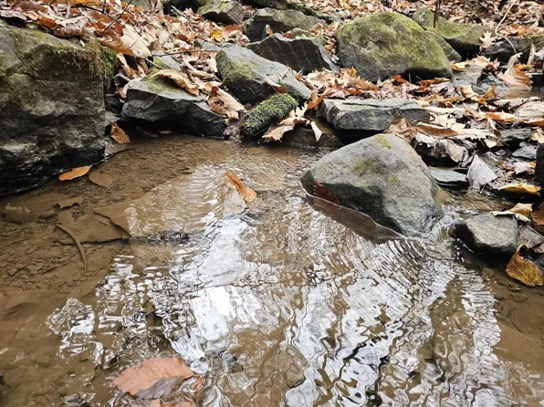 0 Black Oak Rd, Rock, WV 24747