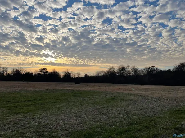 10 Hopewell Rd, Arab, AL 35016