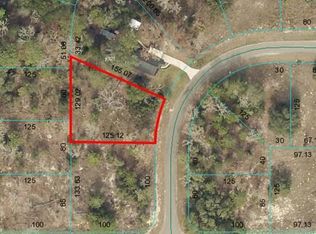 2 Magnolia Dr LOT 2, Ocklawaha, FL 32179