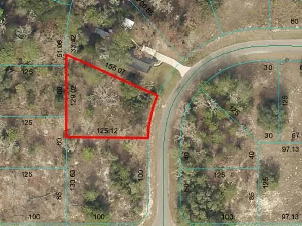 2 Magnolia Dr Lot 2, Ocklawaha, FL 32179