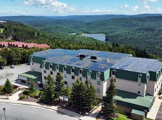 73 Top Of The World Dr #222, Slatyfork, WV 26291