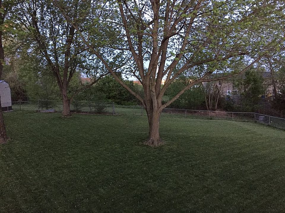 Back yard mature trees