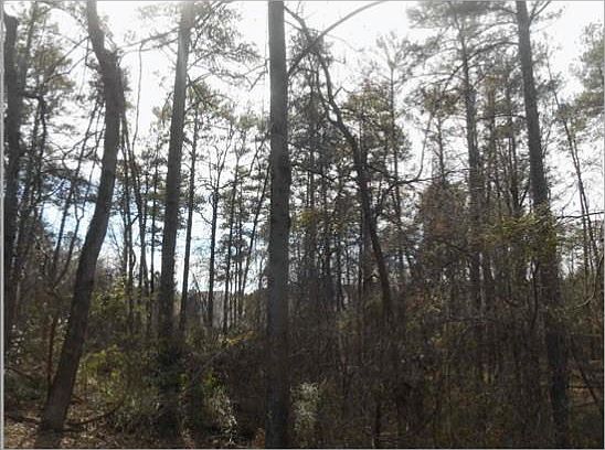 3rd image of 6700 Mableton Pkwy SE
