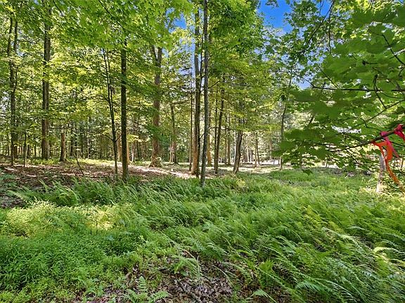 3rd image of 50 Donald Ross Trl
