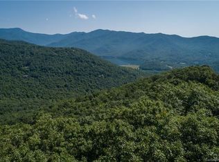 29 Lake Wood Ave, Black Mountain, NC 28711
