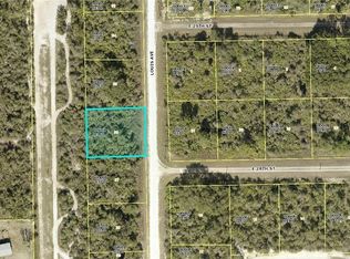 2801 E Louis Ave, Alva, FL 33920