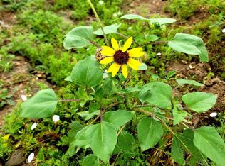 Ghost River Rnch LOT 65, Walsenburg, CO 81089