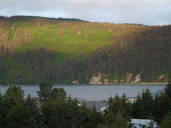 South view of Seldovia Bay