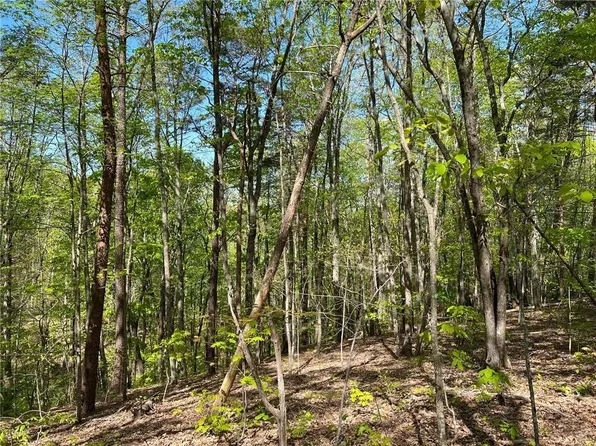 269 Appleberry Mountain Rd, Waleska, GA 30183
