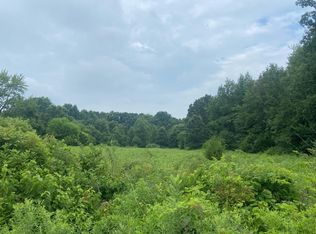 52700 Parkville Rd, Three Rivers, MI 49093