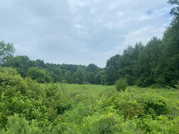 52700 Parkville Rd, Three Rivers, MI 49093