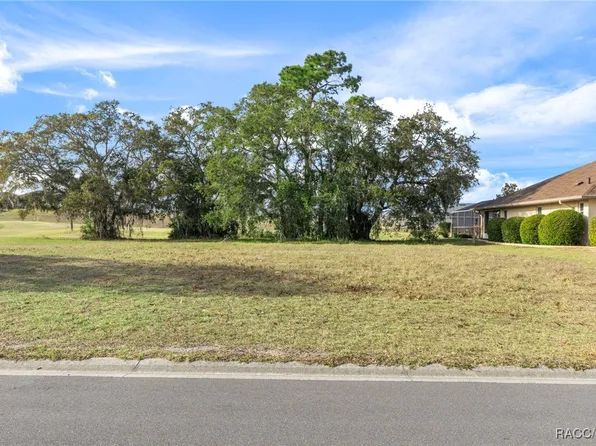 4828 N Crestline Dr, Beverly Hills, FL 34465