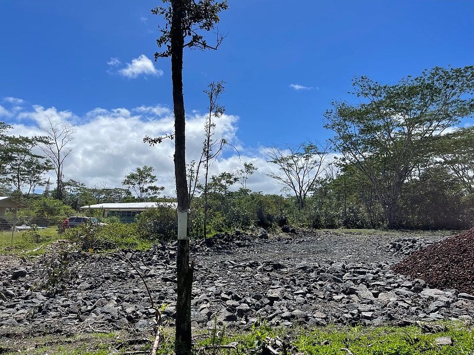 2nd image of 11th Avenue Kika Lot 1464
