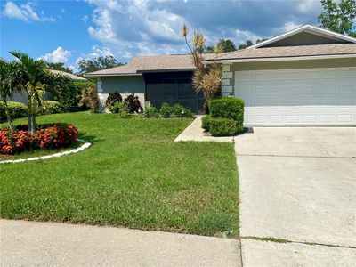1211 Timberbrooke Dr, Palm Harbor, FL, 34684