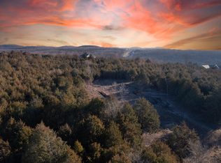 LOT 42 Mills Hollow Rd, Branson, MO 65616