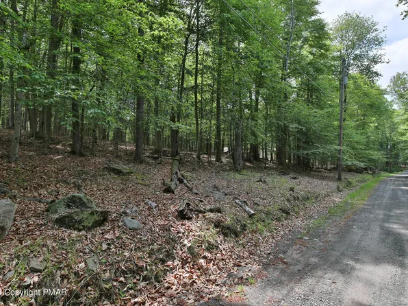 White Pine Dr, Pocono Lake, PA 18347