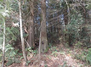 0 Black Bear Ln SE, Centralia, WA 98531