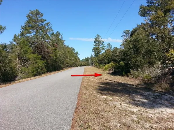 41351 Persimmon St, Eustis, FL 32736