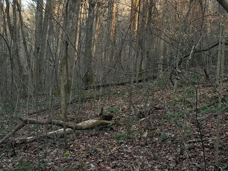 1st image of Dripping Springs Rd