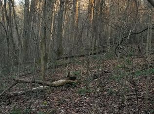 Dripping Springs Rd, Seymour, TN 37865