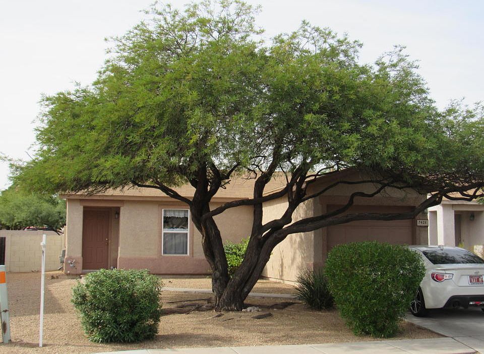 1st image of 7426 S Nevil Dr