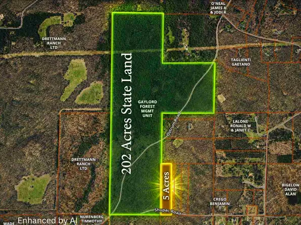 Shumaker Rd, Bellaire, MI 49615