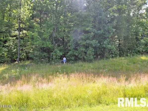 LOT 397 Eagle Ridge Ln, Goreville, IL 62939