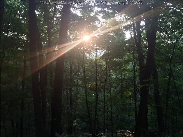 0 Fleshers Run Rd, Ravenswood, WV 26164