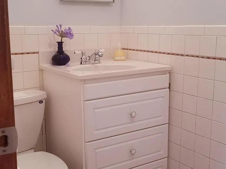 Full Bath w/ Shower (downstairs)