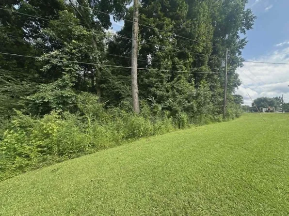 0 N Dabney Ln, Rogersville, AL 35652