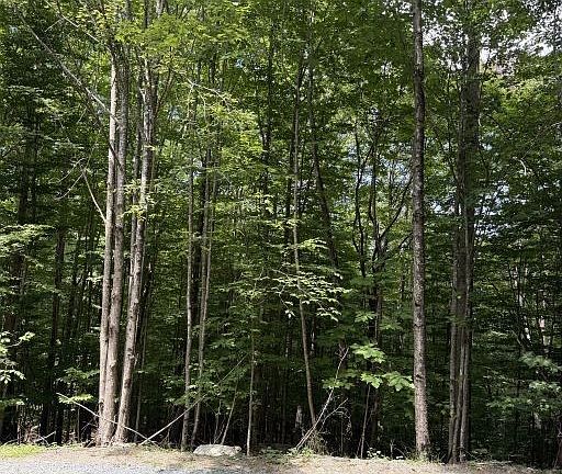 5th image of 141 Sassafrass Road