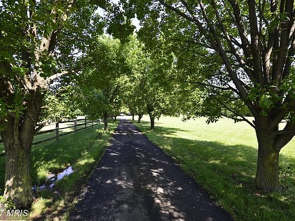 BRADFORD PEAR LINED DRIVEWAY