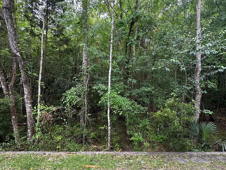 8428 Thornbush Ct — Photo 21