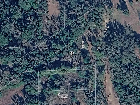 1409 Quail St E, Perry, FL 32348