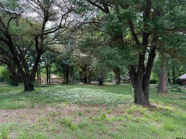Oakleigh St, Hawkins, TX 75765