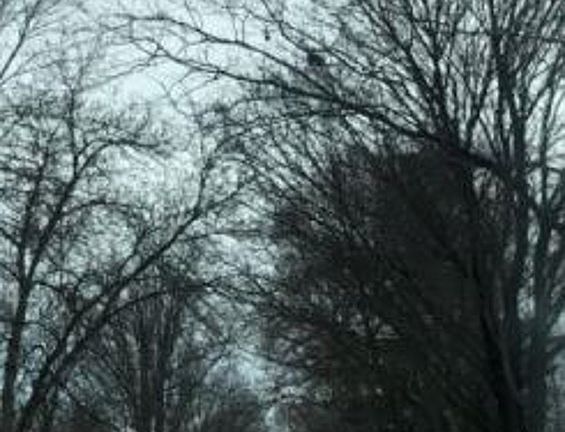 Exterior Neighborhood (street photo)