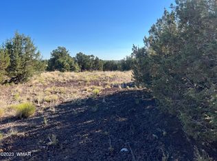 1757 Silver Lake Blvd, Show Low, AZ 85901