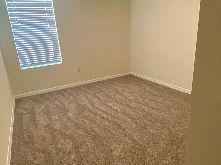 392 Preston Cove Dr — Photo 11