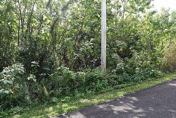 1st image of LOT 252 Lot 252